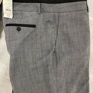 Express dress pant